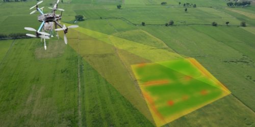 38c15-drone_above_field_digital_scan_area_692669365_1200